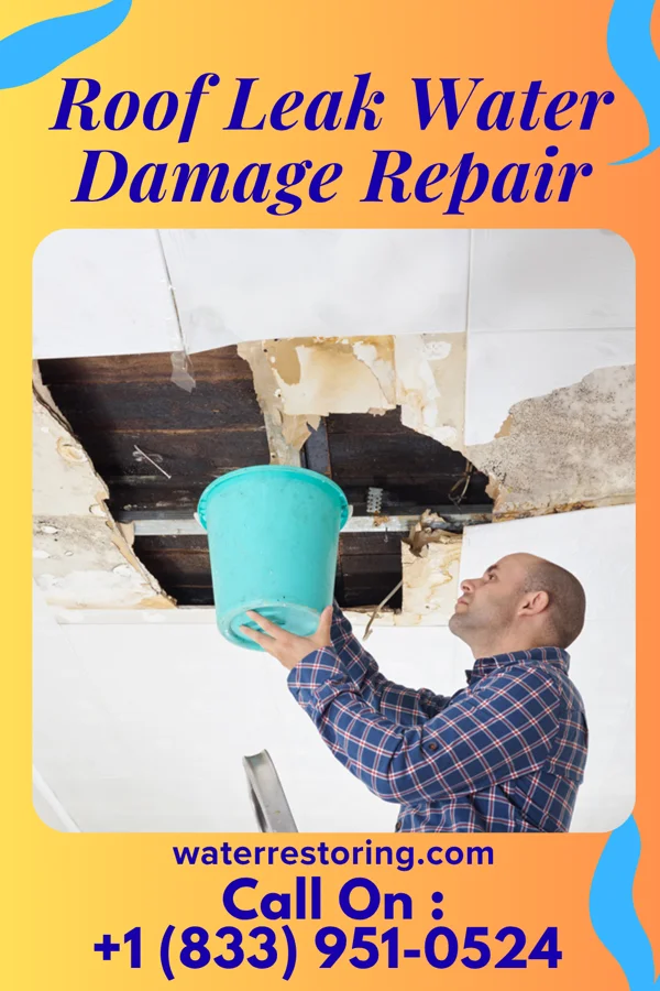 Roof Leak Water Damage Repair in Wheatfields, AZ
